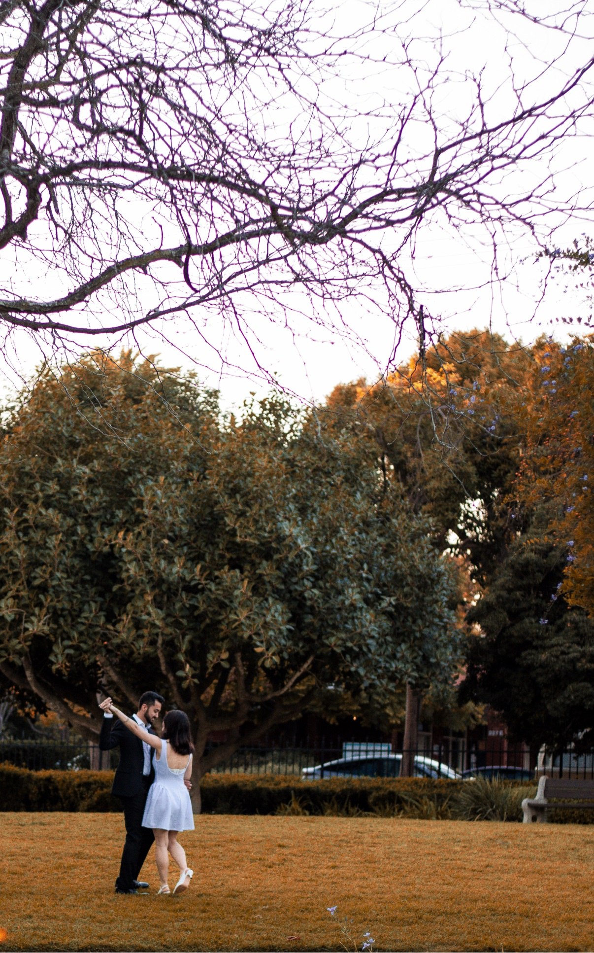Couple dancing together on the grass in a park beneath bare tree branches